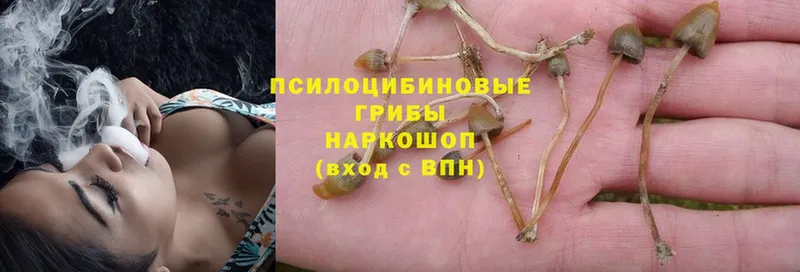 Галлюциногенные грибы Magic Shrooms  Городище 